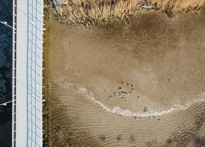 Zielona Przystan Blueapart Διαμέρισμα